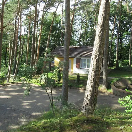 Ferienhaeuser Mit Pool In Ruhiger Lage Am Waldrand